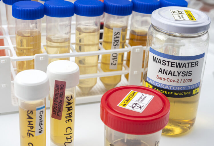 laboratory samples analyzed for wastewater analysi 2026 03 24 00 22 22 utc